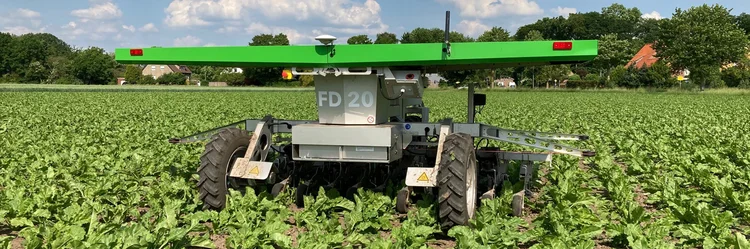 Farmdroid im Einsatz auf einem Zuckerrübenfeld.