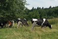 Biohof Joas