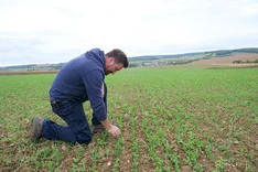 Gut beraten mit der Field School