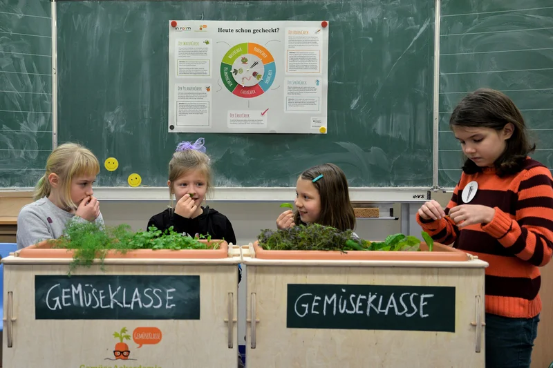 Kinder am Hochbeet im Klassenzimmer. Klick führt zu Großansicht im neuen Fenster.