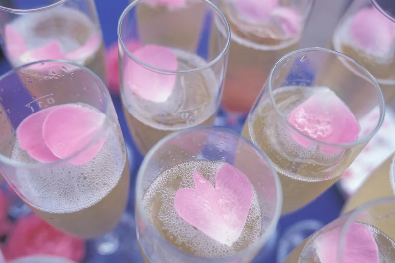 Gläser mit Schaumwein gefüllt. Dekorative Rosenblätter schwimmen auf dem Schaumwein.