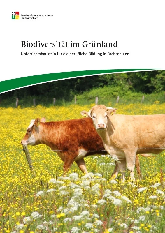 Cover des Unterrichtsbausteins