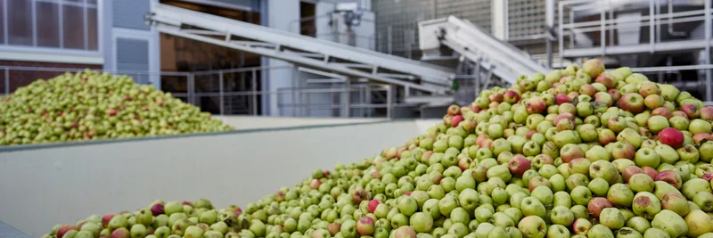 Zwei große Haufen Äpfel vor der Fruchtsaftkelterei.