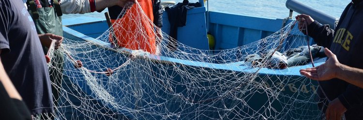 Fischer halten leeres Netz.