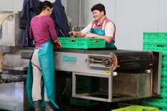 Zwei Frauen beim Putzen von Gemüse in einer Halle.