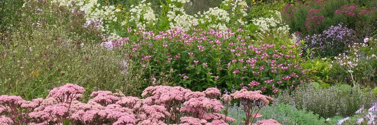 Blumenbeet