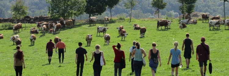 Menschen auf der Weide.