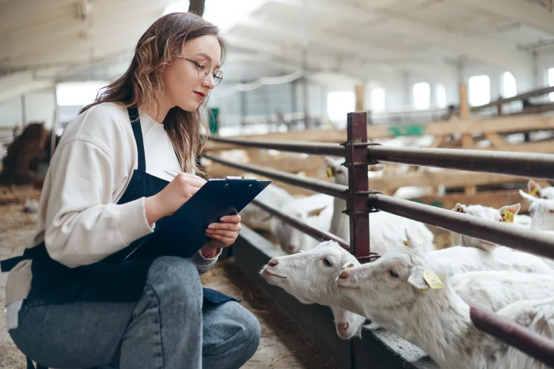 Landwirtin mit einer Kladde in der Hand kniet im Stall vor einer Box mit Ziegen und beobachtet.