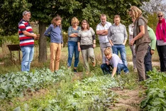 Ernährungsdemokratie