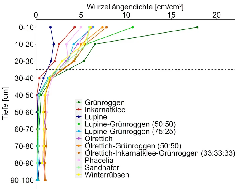 Grafik zur Wurzellängendichte von Zwischenfrüchten. Klick führt zu Großansicht in neuem Fenster, Schließen per ESC. 