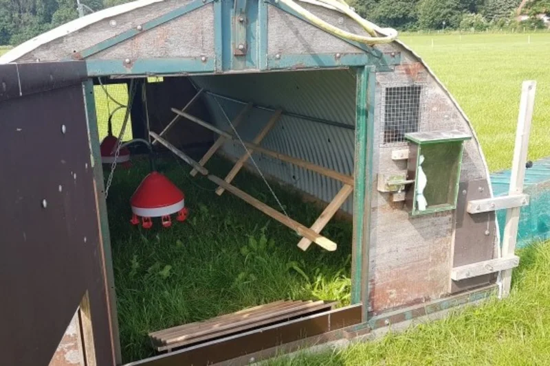 Blick in die Broilerhütte. Klick führt zu Großansicht im neuen Fenster.