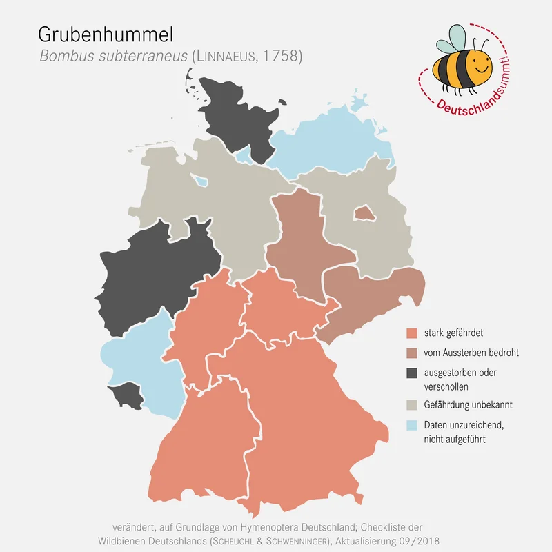 Verbreitungskarte der Grubenhummel in Deutschland. Klick führt zu Großansicht.