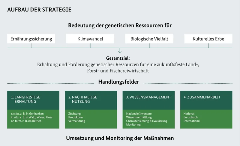 Grafik der Nationalen Strategie zu genetischen Ressourcen für Ernährung, Landwirtschaft, Forst und Fischerei