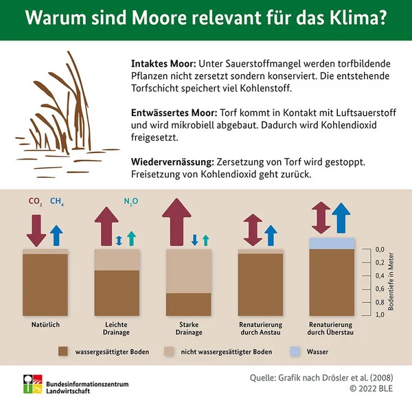 Grafik zu Moor und Klima. Klick führt zu Großansicht in neuem Fenster.
