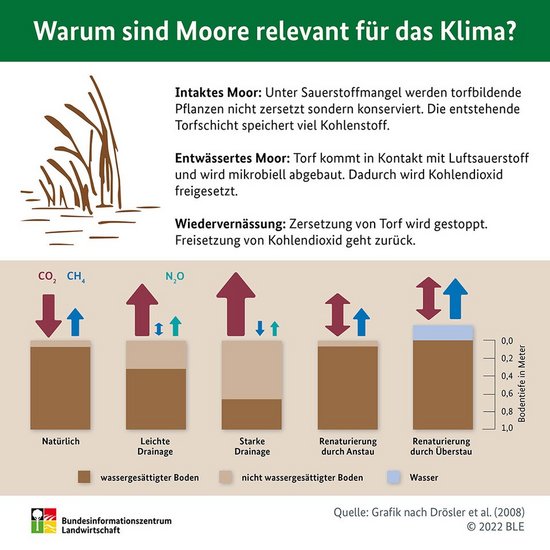 Infografik über den Klimaschutzeffekt von vernässten Moorböden. Klick führt zu Großansicht in neuem Fenster.