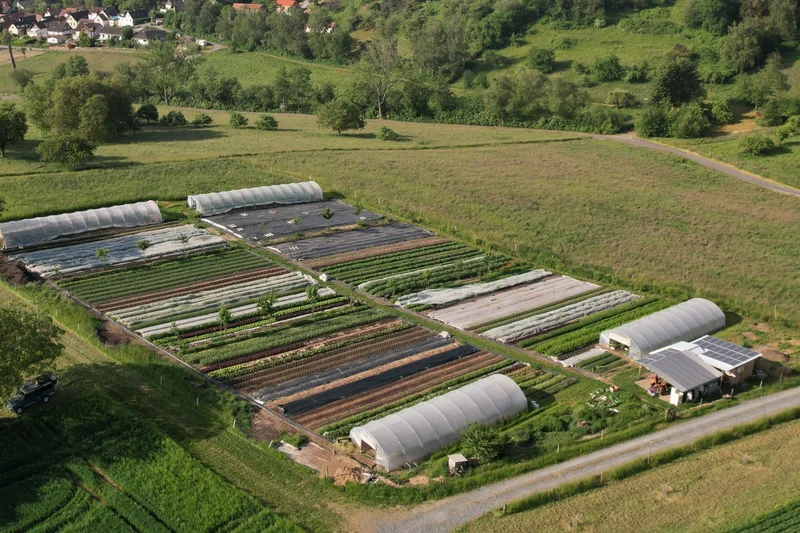 Drohnenaufnahme des Geländes eines Market Gardens. Zu sehen sind die Felder und Gewächshäuser aus der Luft. Klick führt zu Großansicht.