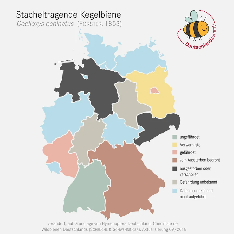 Verbreitungskarte der Stacheltragende Kegelbiene. Klick führt zu Großansicht.