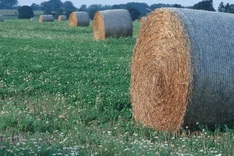 Untersaaten: Möglichkeiten, Grenzen, Mischungen
