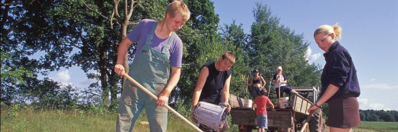 Junge Menschen auf einem Feld.