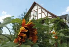 Bioland-Hof Reulein & Schöne