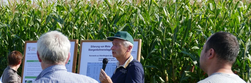 Menschen vor einem Maisfeld. Ein Mann mit Mikrofon erzählt etwas.