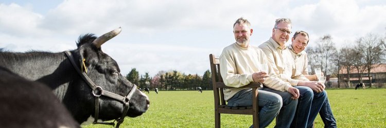 Drei Männer auf einer Bank auf einer Wiese hinter schwarz-weiß-gefleckter Kuh
