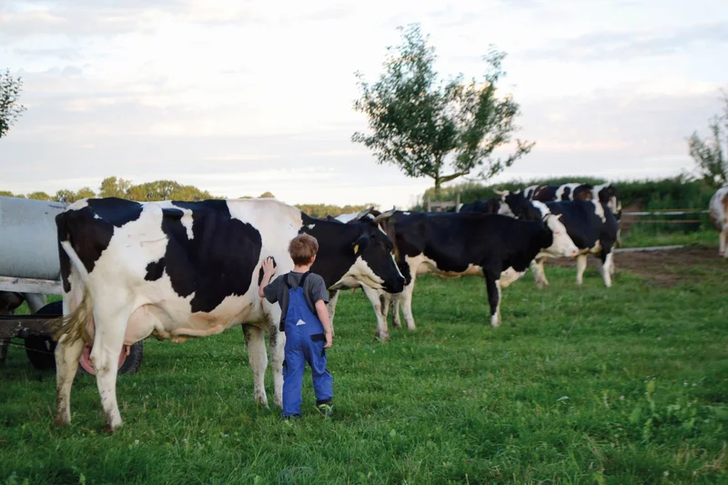 Rinder mit Kindern