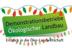 Logo Demo-Netzwerk.
