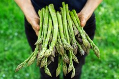 Saisonales Bio-Gemüse: Frisch, günstig und nachhaltig
