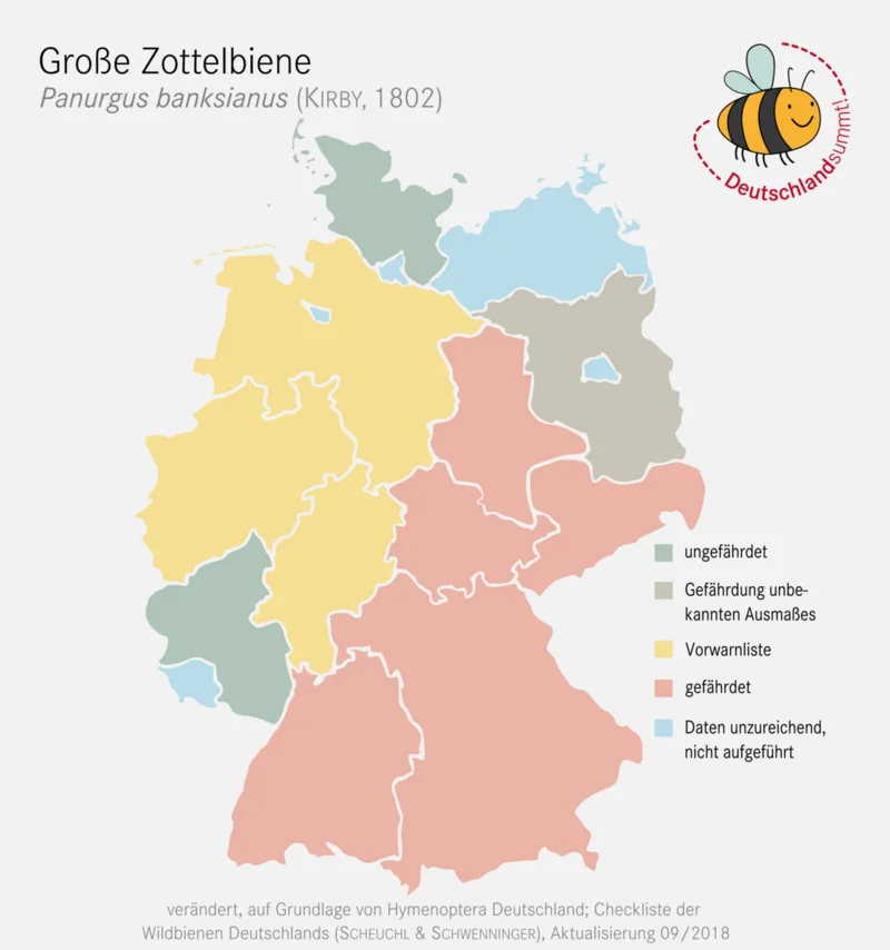 Infokarte zur Verbreitung der Großen Zottelbiene. Klick führt zu Großansicht in neuem Fenster.