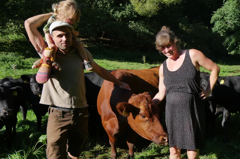 Frau, Mann und Kind stehen neben einem Rind.