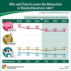 Blick auf die Infografik zum Fleischverzehr 2024 mit dem Titel "Wie viel Fleisch essen die Menschen in Deutschland pro Jahr?" Abgebildet sind die drei Hauptfleischarten Schwein, Geflügel und Rind und die Jahre von 2019 bis 2024. Klick führt zu Großansicht.