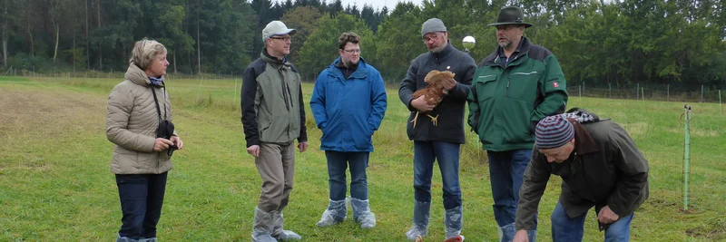 Gruppe von Menschen steht auf einer Weide mit Hühnern
