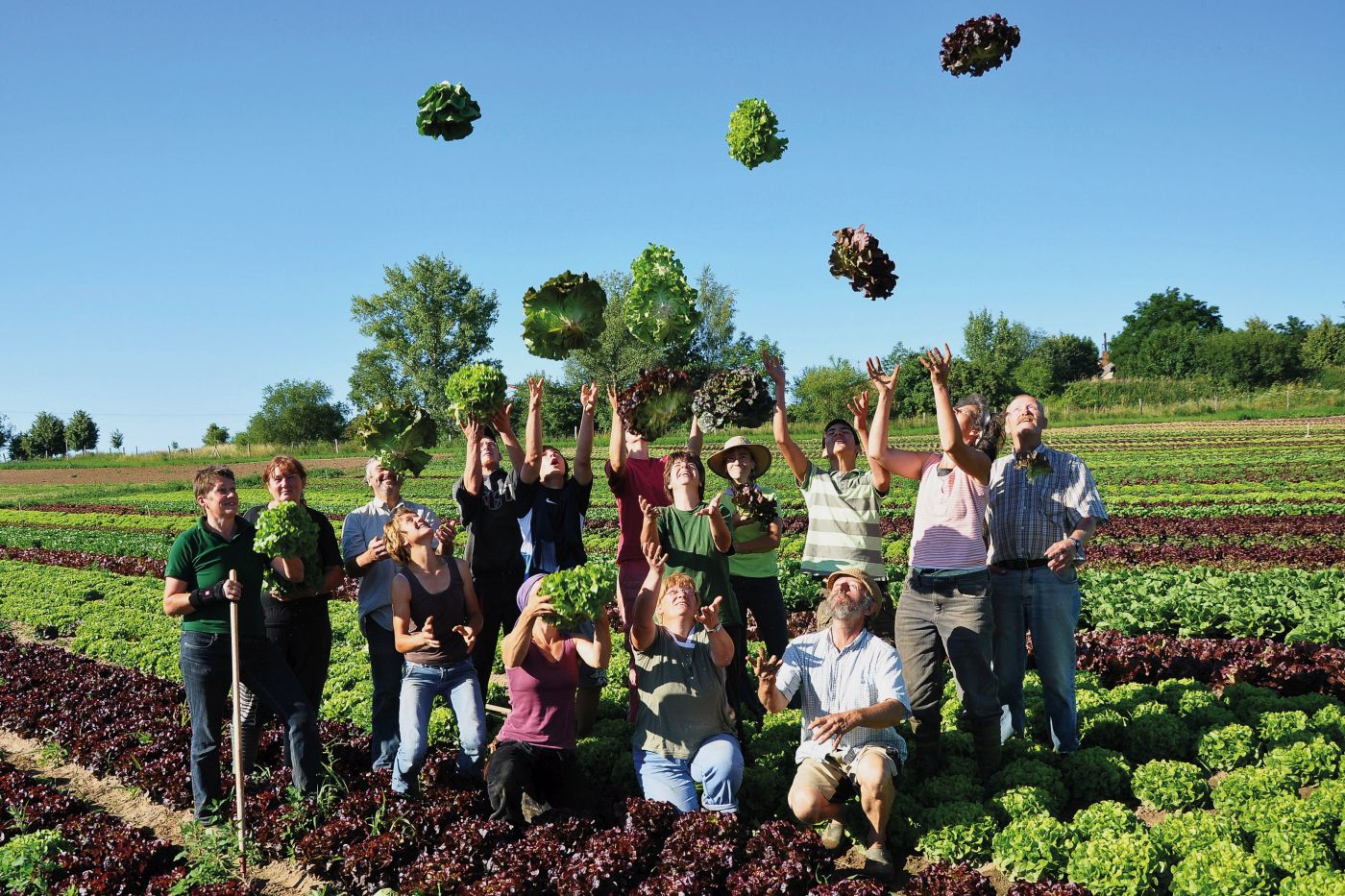Gruppenfoto auf dem Fed, bei dem die Menschen Salatköpfe in die Luft werfen. 