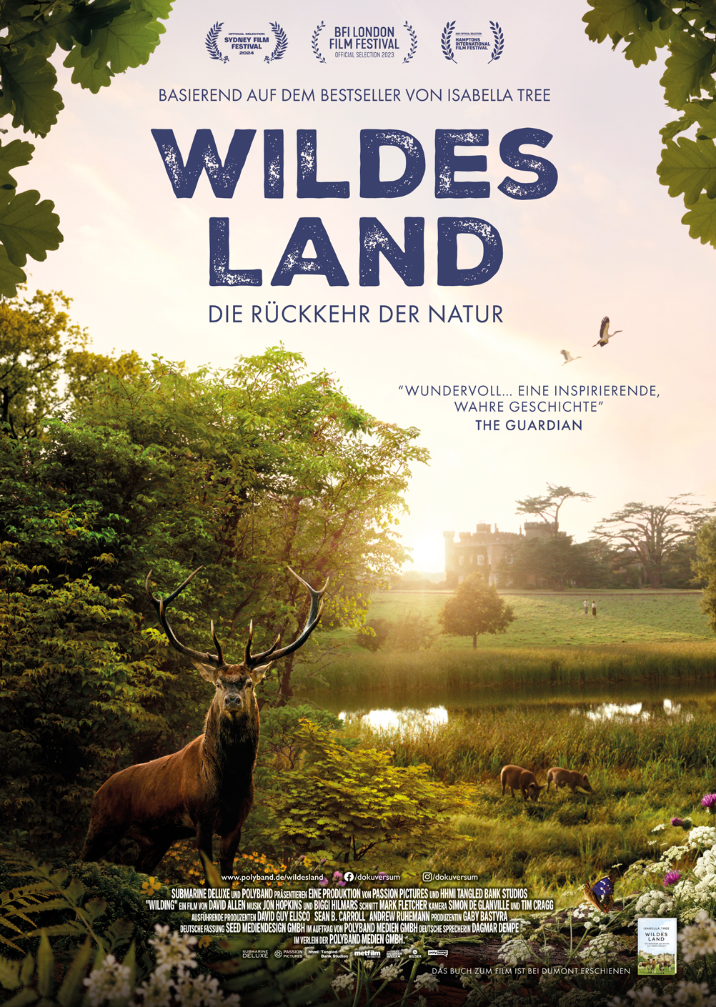 Poster zum Film Wildes Land