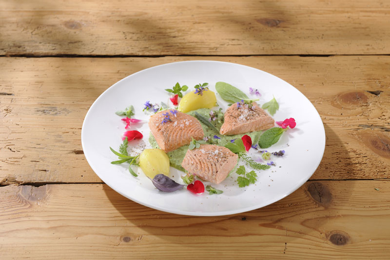Lachsforellenfilet auf Sieben-Kräutercreme mit Kartoffeln