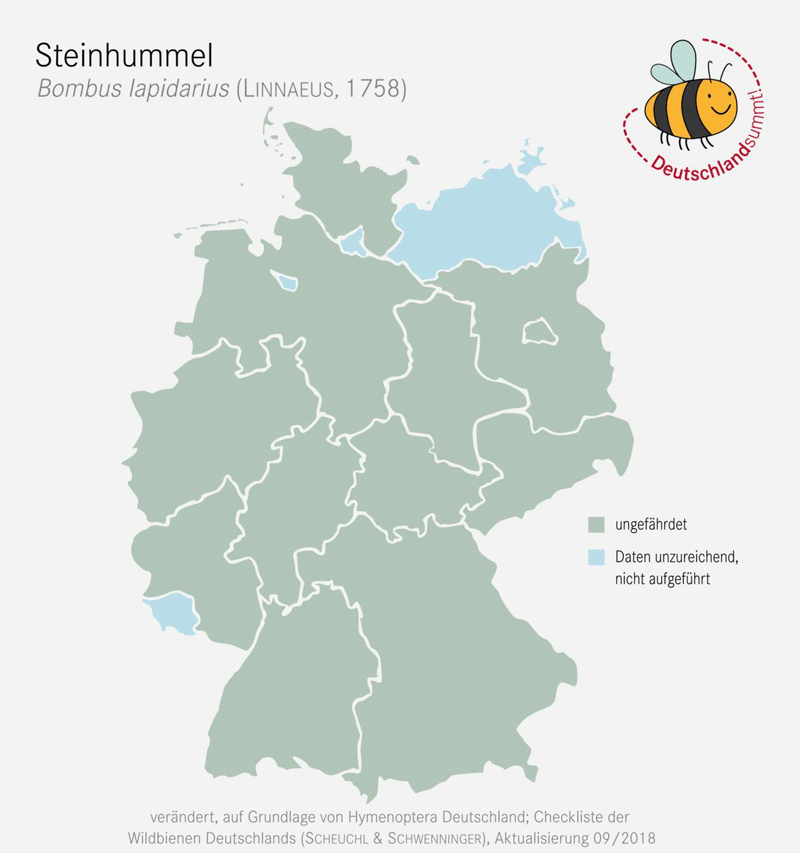 Verbreitungskarte der Steinhummel in Deutschland. Klick führt zu Großansicht in neuem Fenster.