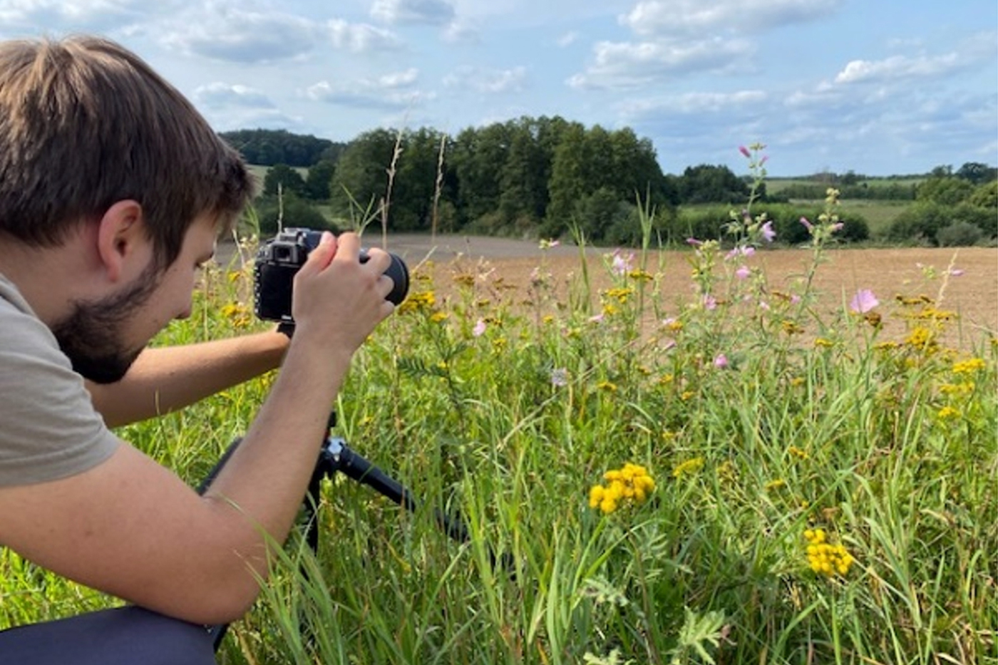 Videoporträts der wichtigsten Schädlinge und Nützlinge an Eiweißpflanzen