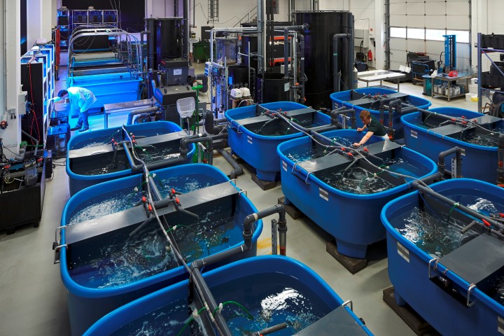 Infrastruktur des Zentrums für Aquakulturforschung. Klick vergrößert das Foto.