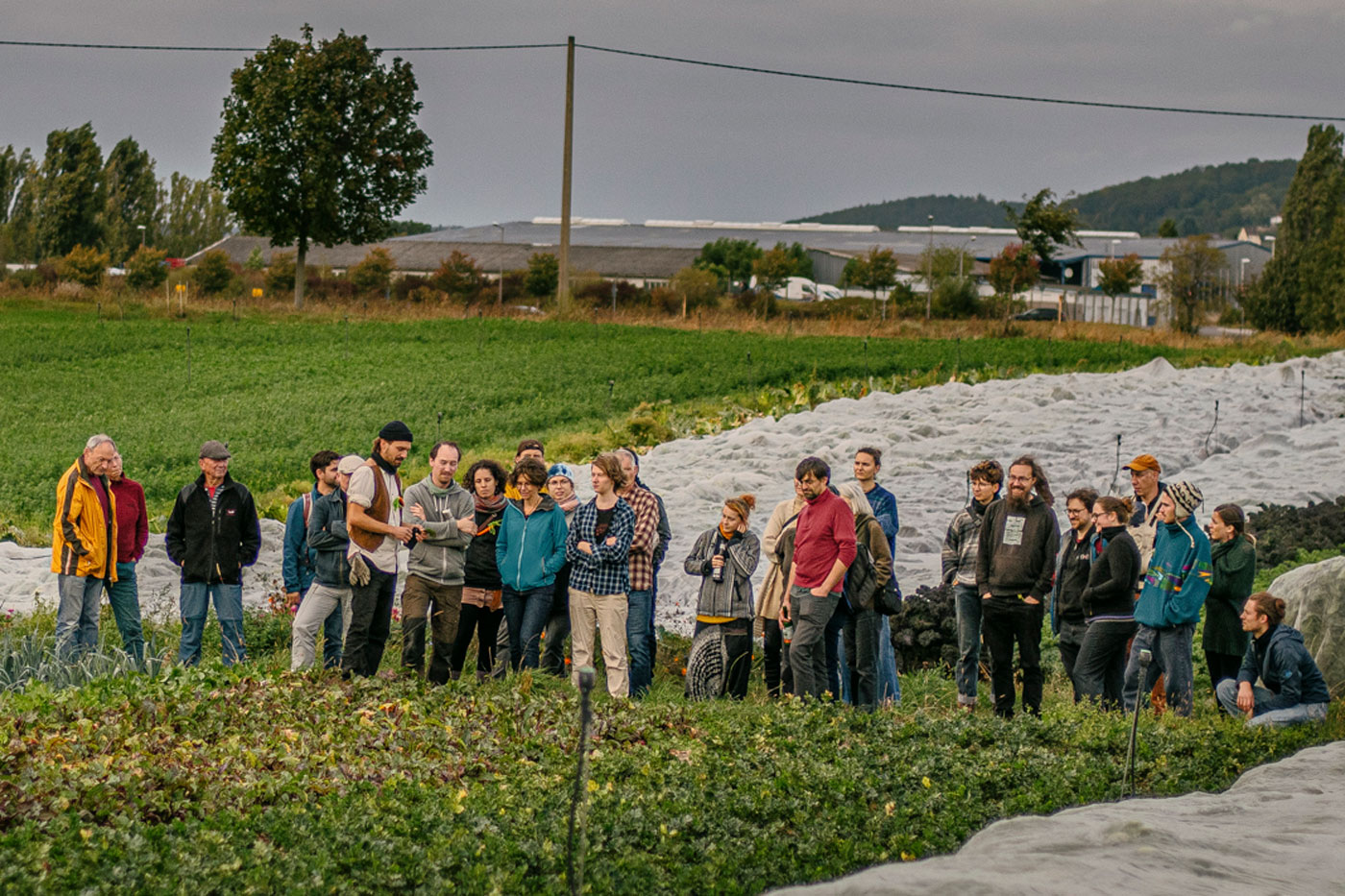Eine Gruppe bei einer Führung über das Feld
