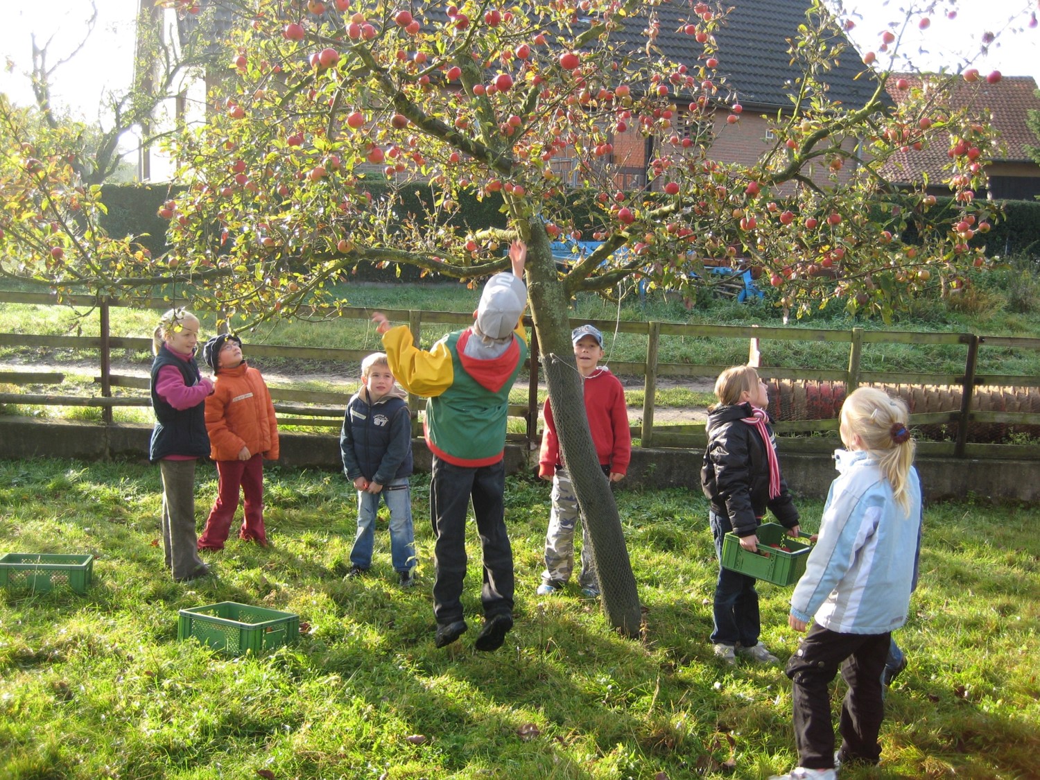 Kinder stehen um einen Apfelbaum herum. Klick führt zu Großansicht im neuen Fenster.
