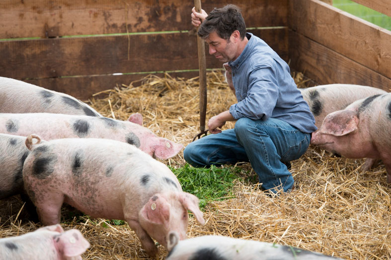 Stefan Itter kniet bei seinen Schweinen, Klick führt zu Großansicht im neuen Fenster 