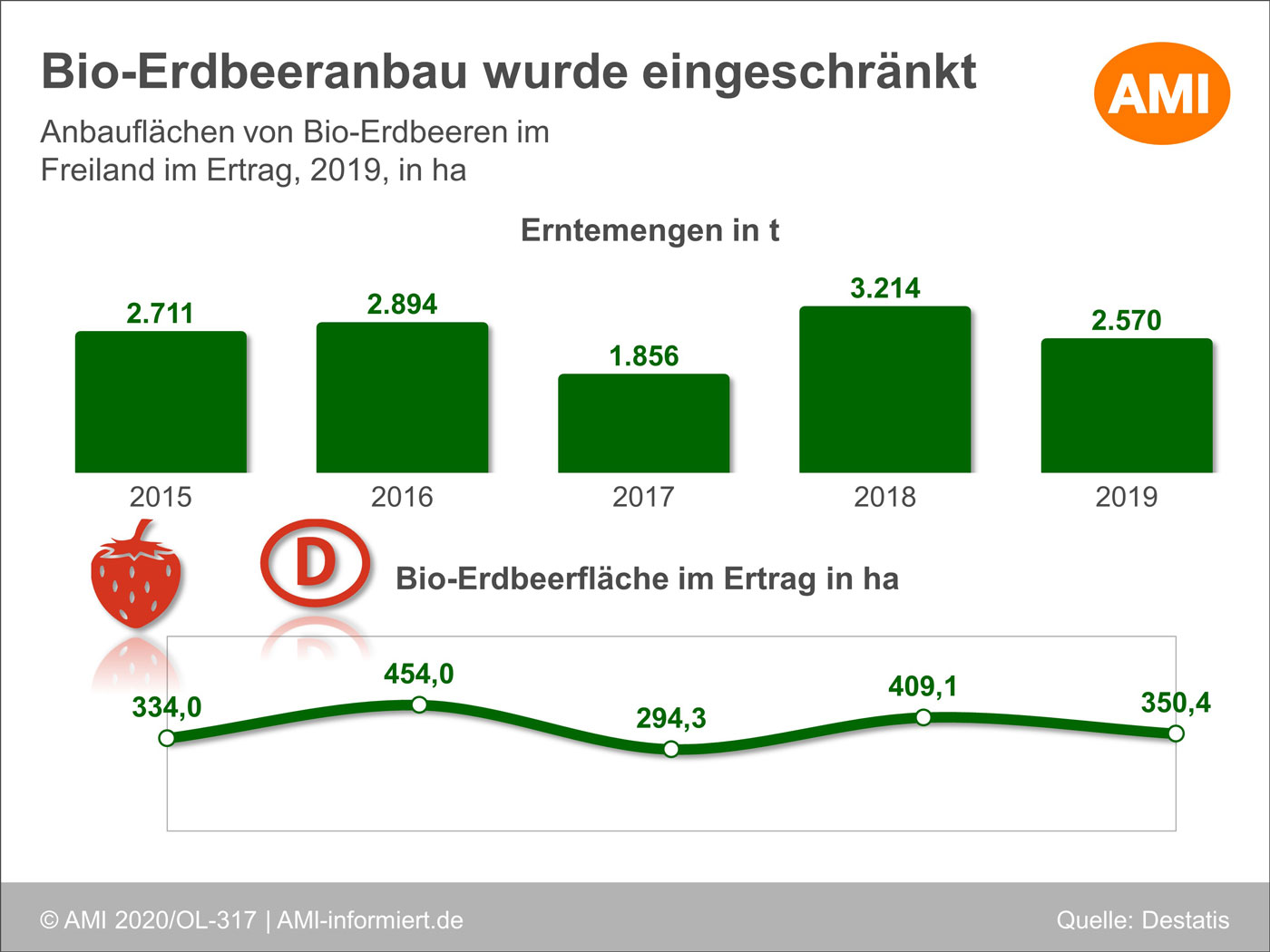 Grafik zum Rückgang des Anbaus von Bio-Erdbeeren in Deutschland. 