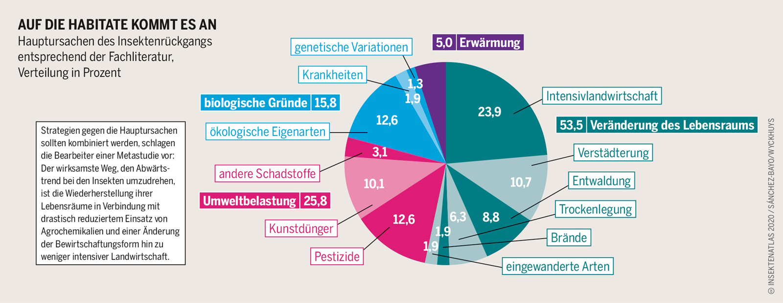 Grafik zu den Ursachen des Insektensterbens. Klick führt zu Großansicht in neuem Fenster.