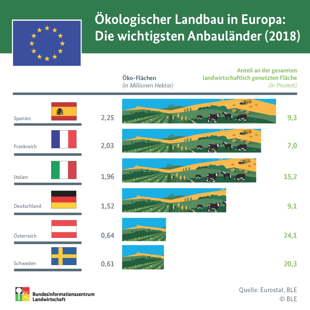 Infografik zu den Ökoflächen von ausgewählten EU-Staaten.