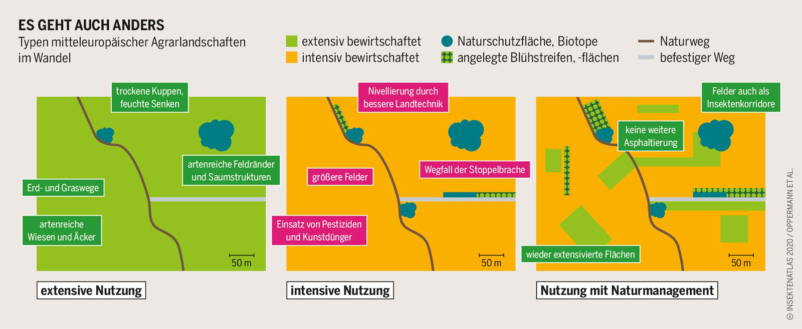 Grafik zur Veränderung der Agrarlandschaften. Klick führt zu Großansicht in neuem Fenster.