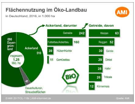 Grafik: Ökolandbau in Deutschland, Klick führt zu Gro0ansicht im neuen Fenster