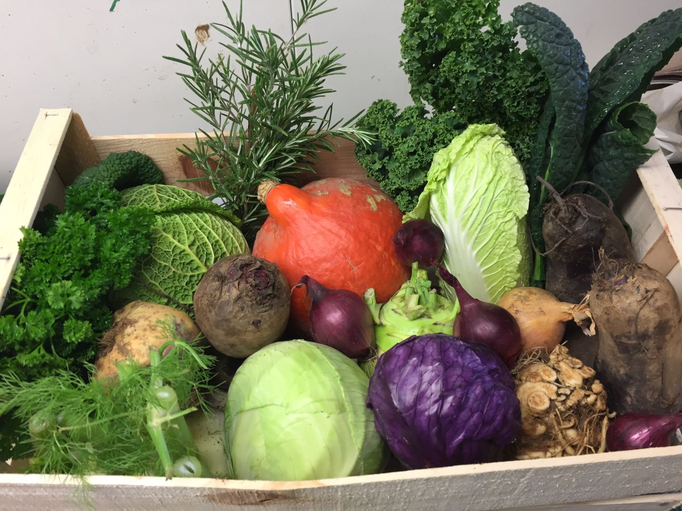 Gemüse in einer Kiste. Klick führt zu Großansicht im neuen Fenster.